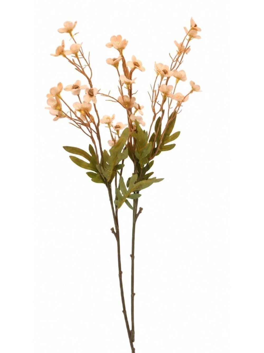 Cream Beige Dogwood Stems Faux Wax Flower Neutral Floral Ivory Home Decor 24 Inc